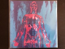 Nirvana Single Vinyl Sliver