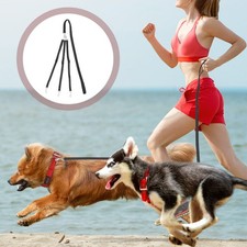  Longe Chien Dressage Laisse Pour Courir De Marche Animaux Compagnie