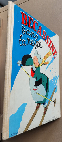 Bécassine dans neige - bécassine, la
