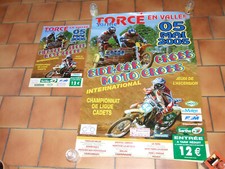 TORCE EN VALLEE SARTHE LOT DE