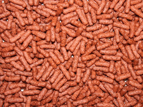 Bâtonnets aliment pour - 1, kg