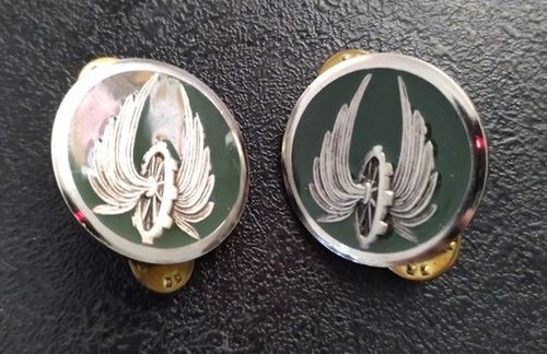 Paire insignes collet de - d'insignes,