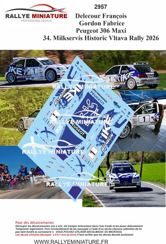 Decals ref 2957 peugeot - decals,