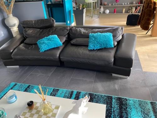 Canapé roche bobois - roche, d