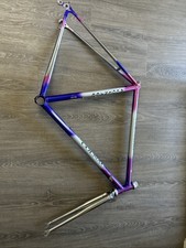 Colnago Decor Full Steel