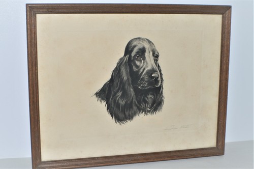 Ancienne lithographie chien - -ancienne,