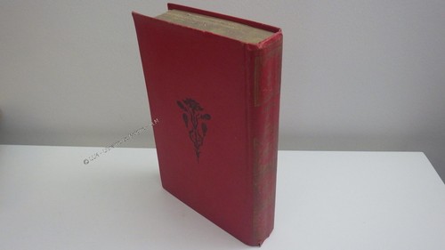 1900 zouave pape soldat - pape,