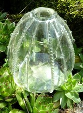 ANCIEN VASE OURSIN en VERRE