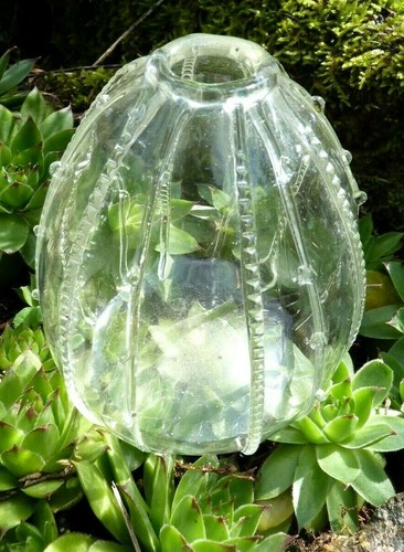Ancien vase oursin verre - en,