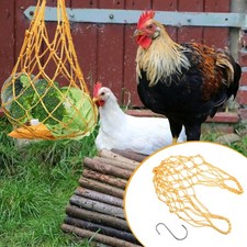 1pc Parrot Rooster poule