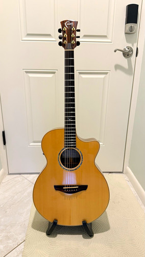 Faith fvhg venus cutaway - faith,