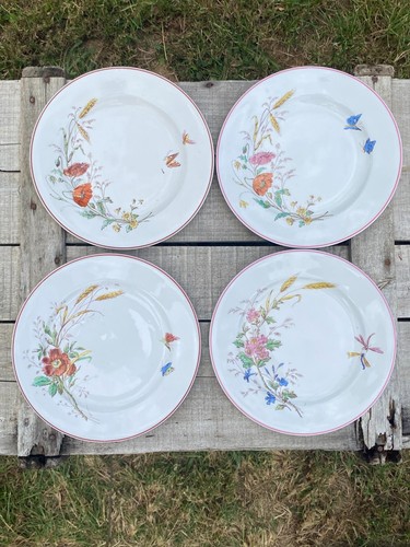 Tres jolie assiettes decor - tres,