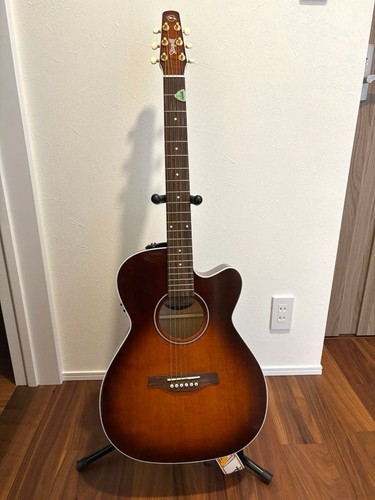 Seagull acoustic electric - acoustic,