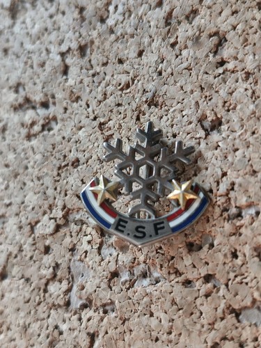 Insigne badge école - insigne,