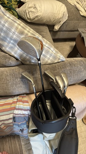 Ping g10 irons - g10, bilt