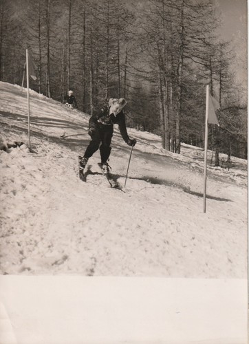 Ski slalom suzanne - ski,, slalom,