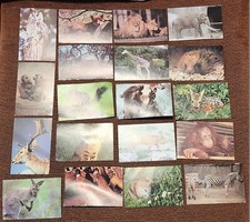 19 grandes images collection