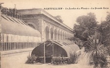 Carte postale ancienne HERAULT MONTPELLIER jardin plantes grande serre éc. 1917