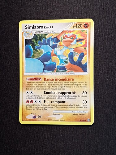 Holo simiabraz 100 - holo, 3/100