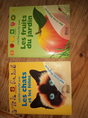 Lot livrets série - 5,