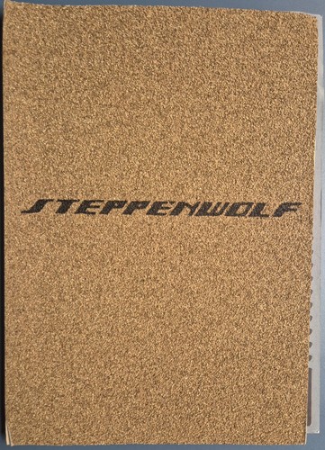Audi steppenwolf projet dp - steppenwolf,