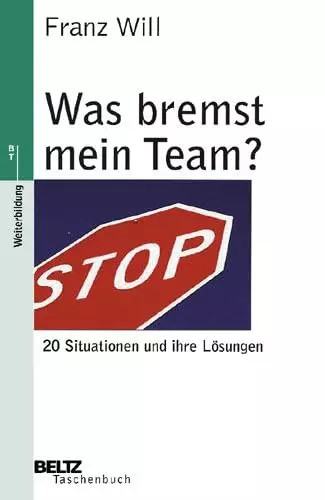 Was bremst mein - team?:, 20