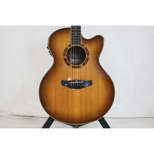 Guitare électrique acoustique