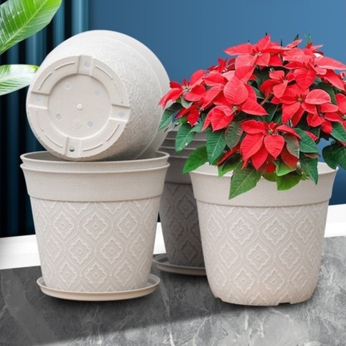 Pot plantes en - plantes,