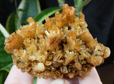 Gypse Orange Chinkapook Lake