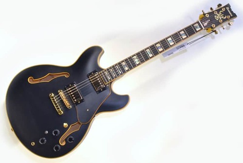 Ibanez john scofield signature - ibanez,
