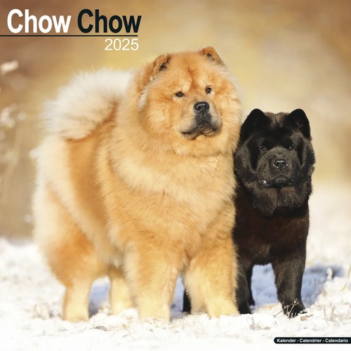 Calendrier 2025 chow - -,