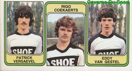 382 versaevel rigo coekaerts - ,