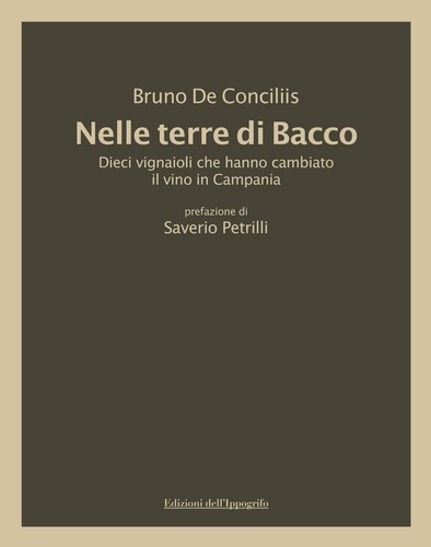 Bruno concil nelle terre - concil,
