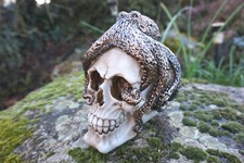 SK311 TETE MORT PIEUVRE