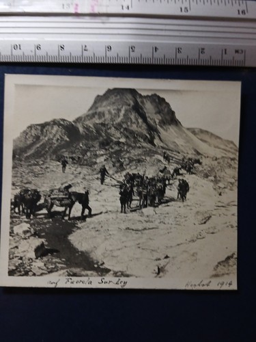 Suisse 1914 fuorcla - gr, armée