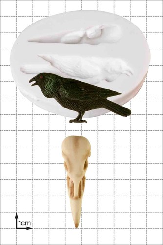 Moule silicone corbeau - moule,