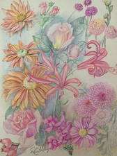 ANCIENNE PLANCHE DE DESSINS