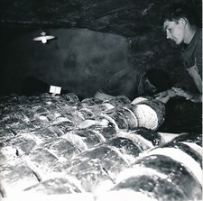 ROQUEFORT SUR SOULZON c. 1960