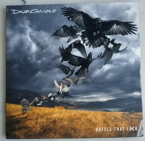 Disque vinyle david - disque, vinyle,