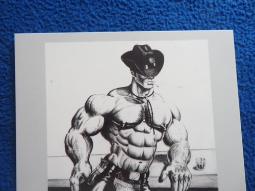 Tom finland cowboy - tom,