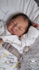 Reborn Baby Doll " Maeum " de