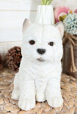 Sitting West Highland Terrier