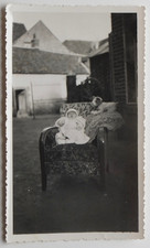Nourrisson 2 mois, fauteuil cour maison, chien peluche - Photo ancienne snapshot