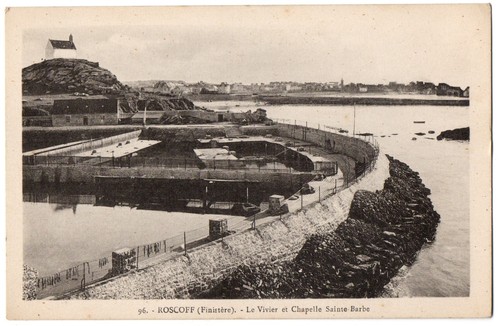 Cpa roscoff - cpa, 29