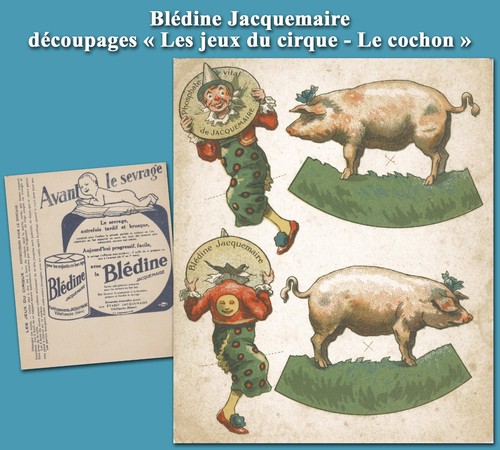 Blédine jacquemaire - blédine,