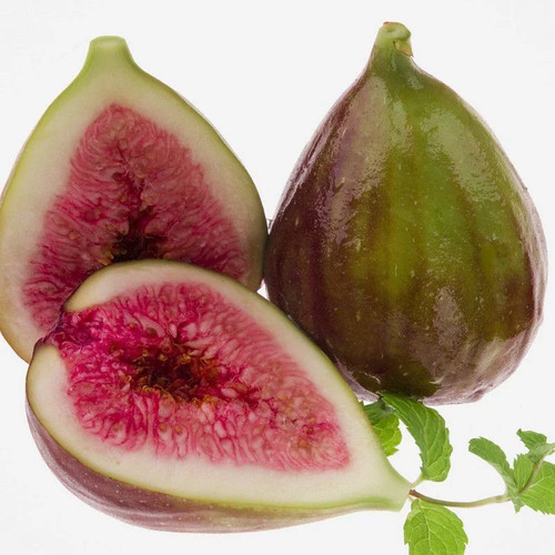 Ficus carica précoce de - ficus, 'précoce
