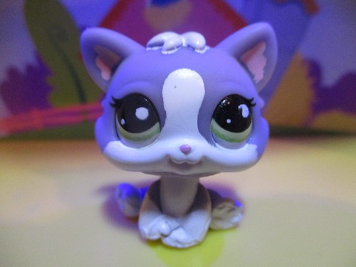 Petshop chaton 2033 - petshop,