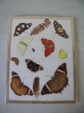 Ancien cadre collection 9