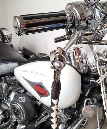 Ensemble fouet whips et - ensemble, "whips"