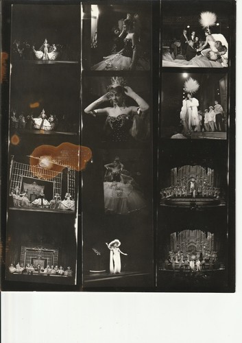 Photo planche contact tampon - planche,